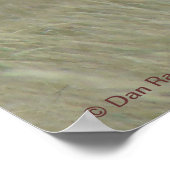 A33プロンコーンアンテロープ曲がった角 ポスター (角)