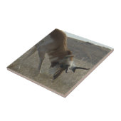 A34プロンコーンアンテロープ曲がった角 タイル (側面)