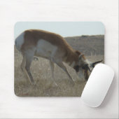 A34プロンコーンアンテロープ曲がり角 マウスパッド (マウス)