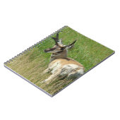 A35プロンコーンアンテロープバック ノートブック (左側)