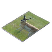 A36プロンコーンアンテロープバック ノートブック (左側)