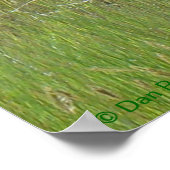 A36プロンコーンアンテロープバック ポスター (角)