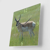A36 Pronghornのカモシカの木びき台 スクエア壁時計 (傾斜)