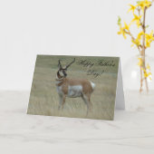 A37 Pronghornのカモシカの大金の曲がった角 カード (黄色い花)