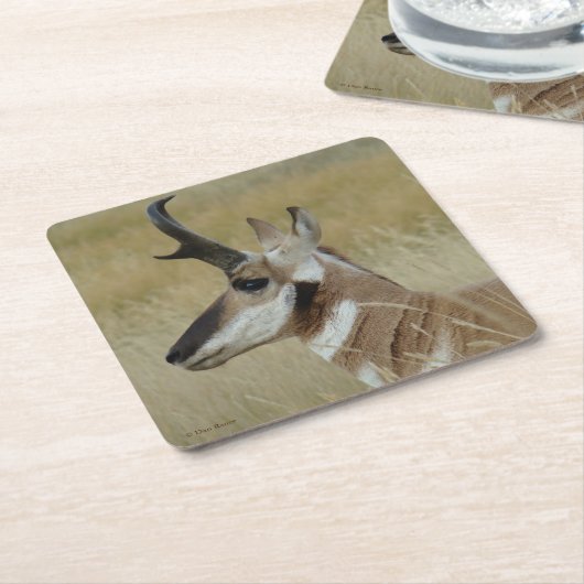 A4プロンコーンアンテロープ下降頭プロファイル スクエアペーパーコースター (アングル)
