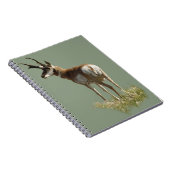 A43プロングルアンテロープバック ノートブック (右側)