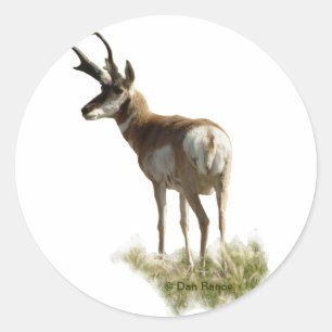 A43 Pronghornのカモシカの木びき台 ラウンドシール