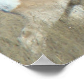 A44プロングルアンテロープバック ポスター (角)