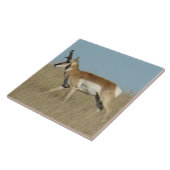 A45aプロングルアンテロープバック タイル (側面)