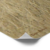 A46 プリオンゴーンアンテロープ ポスター (角)