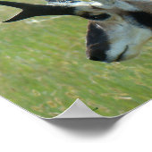 A47プロンコーンアンテロープ大型バック頭部プロファイル ポスター (角)