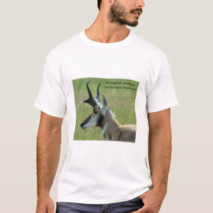 A47プロンコーンアンテロープ大型バック頭部プロファイル Tシャツ
