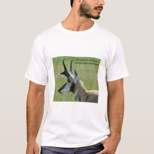 A47プロンコーンアンテロープ大型バック頭部プロファイル Tシャツ (正面)