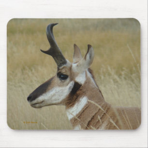 A4 Pronghornのカモシカの頭部のプロフィール マウスパッド