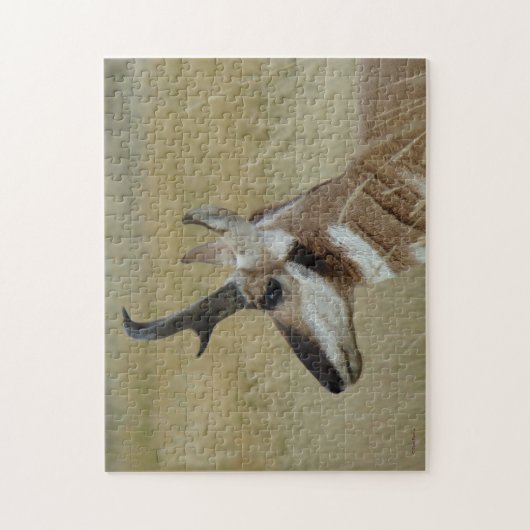A4 Pronghornのカモシカの頭部の打撃のプロフィール ジグソーパズル (縦)