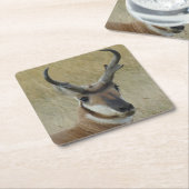 A5プロンコーンアンテロープ大バック頭 スクエアペーパーコースター (アングル)