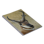 A5プロンコーンアンテロープ大型バック頭部ショット ノートブック (右側)