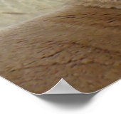 A5プロンコーンアンテロープ大型バック頭部ショット ポスター (角)