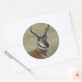 A5プロンコーンアンテロープ降頭撃 ラウンドシール (封筒)