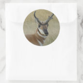 A5プロンコーンアンテロープ降頭撃 ラウンドシール (バッグ)