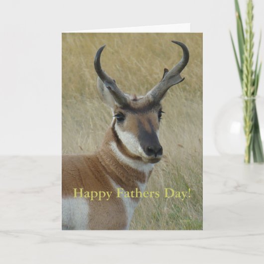 A5 Pronghornのカモシカの頭部の打撃 カード (正面)