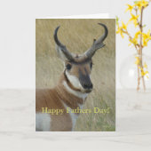 A5 Pronghornのカモシカの頭部の打撃 カード (黄色い花)