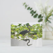 A6ヘロン素晴らしはがき ポストカード (スタンド正面)