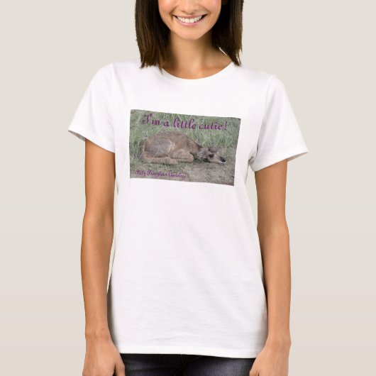 A6 ベビープロングホーンアンテロープ Tシャツ (正面)