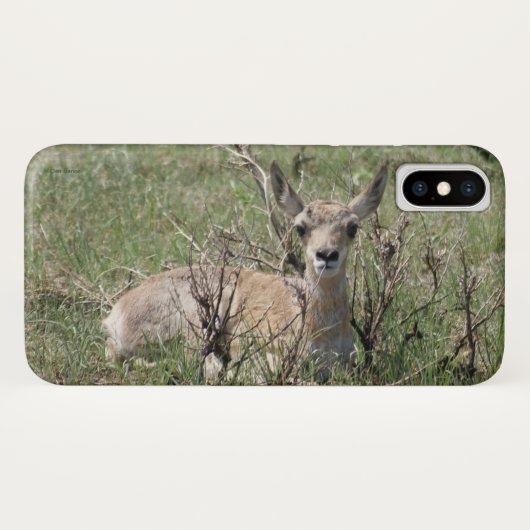 A7 ヤングプレーリーアンテロープ Case-Mate iPhoneケース (裏面(横))