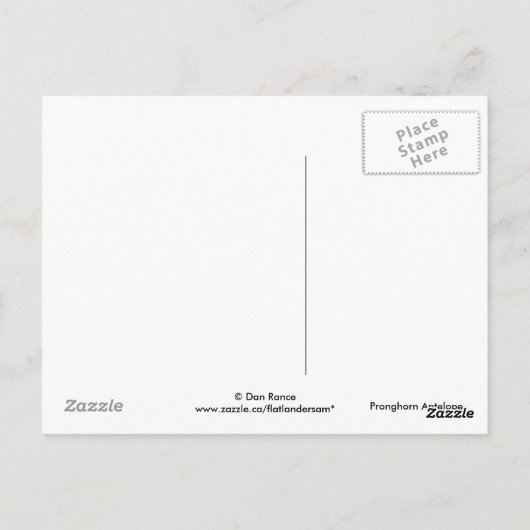 A8プロンコーンアンテロープビッグバック ポストカード (裏面)