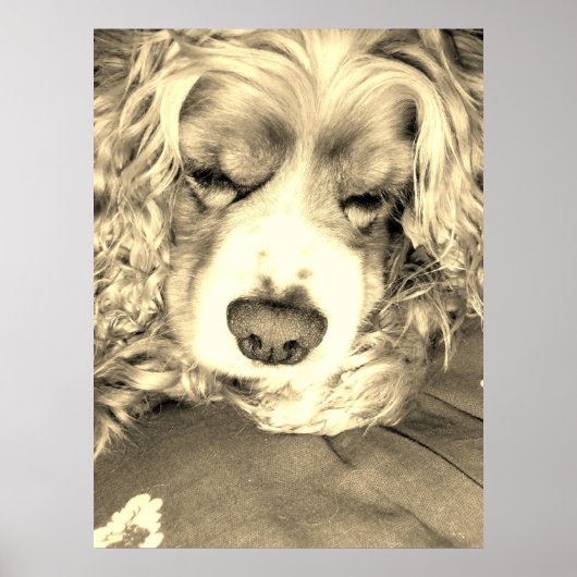 A.ちょっと待って ポスター (正面)