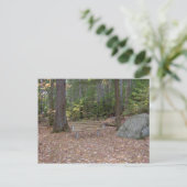 A.はがき考えの場所 ポストカード (スタンド正面)