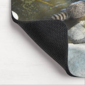 A.アライグマを食べる マウスパッド (コーナー)