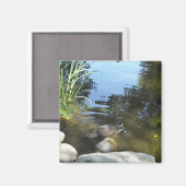 A.アライグマを食べる マグネット (正面/裏面)