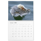 A.グレイ・ダック2024でかゆみを掻く方法 カレンダー (1月 2026)