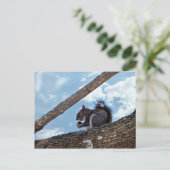 A.ナットを楽しむ ポストカード (スタンド正面)