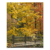 A フォトプリント            (正面)