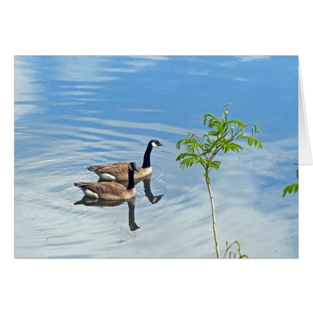 A.泳ぐのを楽しむ (正面横)