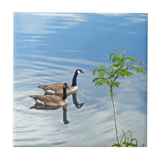 A.泳ぐのを楽しむ タイル (正面)