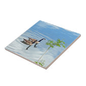 A.泳ぐのを楽しむ タイル (側面)