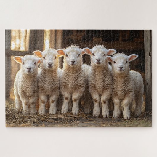 A.農場で愛らしい素朴子羊 ジグソーパズル (横)