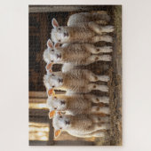 A.農場で愛らしい素朴子羊 ジグソーパズル (縦)