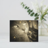 A.願いを叶える ポストカード (スタンド正面)