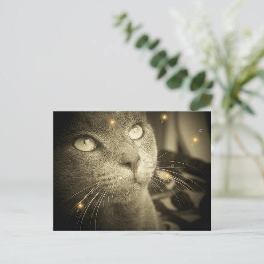 A.願いを叶える ポストカード (スタンド正面)