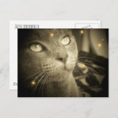 A.願いを叶える ポストカード (正面/裏面)