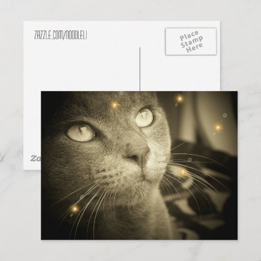 A.願いを叶える ポストカード (正面/裏面)