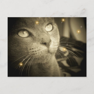 A.願いを叶える ポストカード