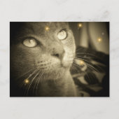 A.願いを叶える ポストカード (正面)