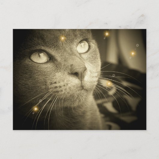 A.願いを叶える ポストカード (正面)