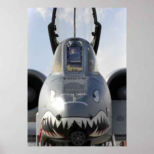 A-10 Thunderbolt II航空機 ポスター (正面)